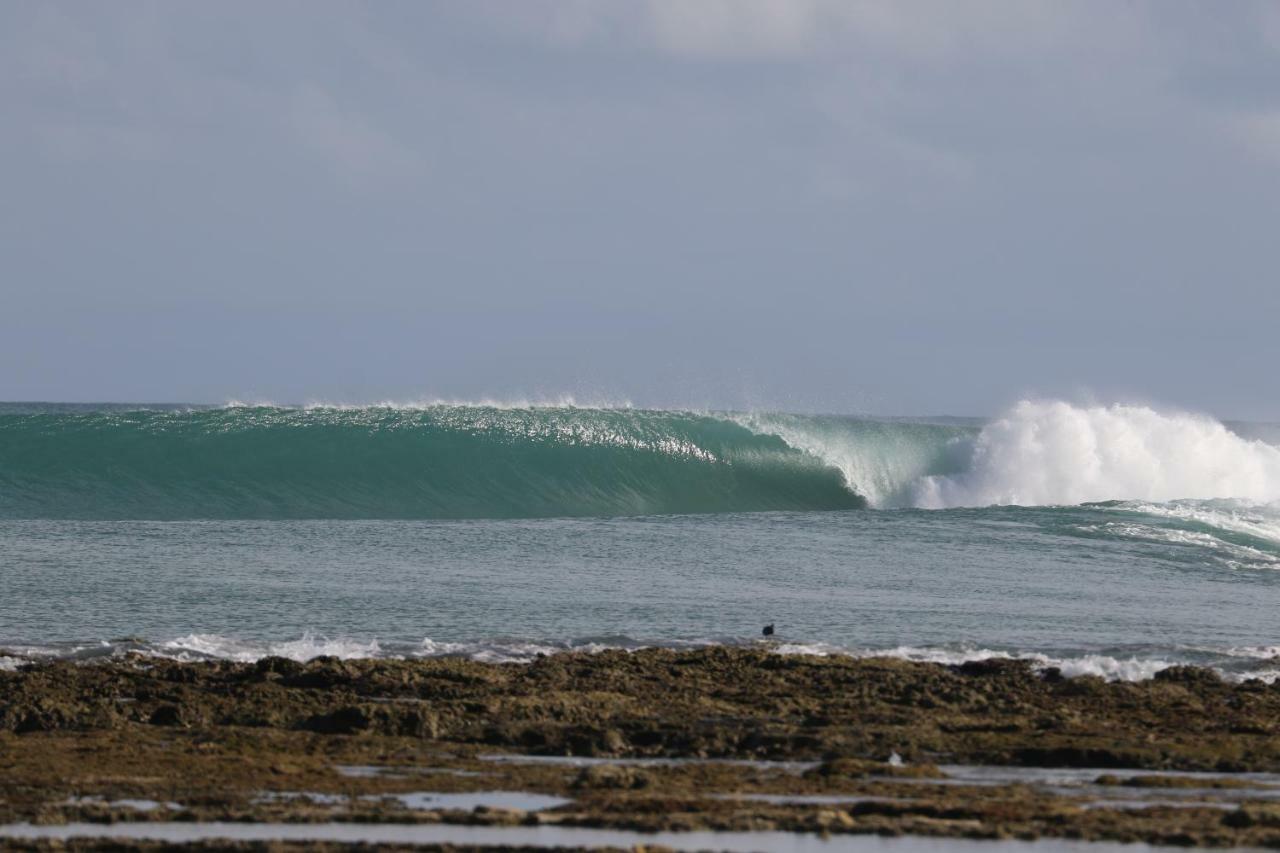فندق Oseda Nias Surf House Hilibotodane المظهر الخارجي الصورة